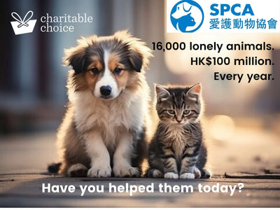 SPCA - 16,000 lonely animals, $100 million, every year.