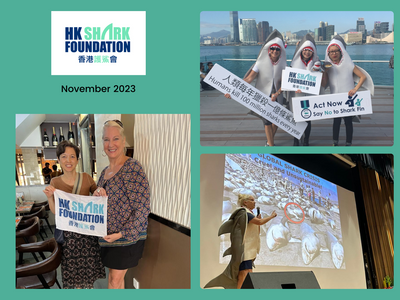 Hong Kong Shark Foundation - promoting shark conservation